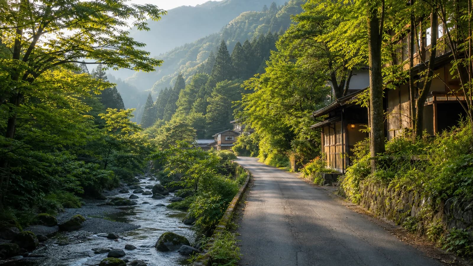 通往森林民宿的山间道路与自然周边环境